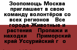 Зоопомощь.Москва приглашает в свою команду волонтёров со всех регионов - Все города Животные и растения » Пропажи и находки   . Приморский край,Уссурийский г. о. 